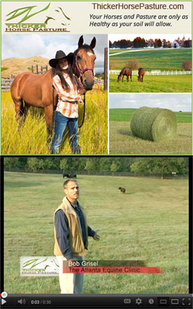 Thicker Horse Pasture - Sponsor!
