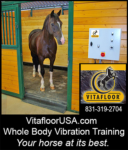 VitafloorUSA Horse Vibration Training