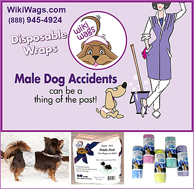 Wiki Wags Disposable Wraps Prevent Dog Accidents!