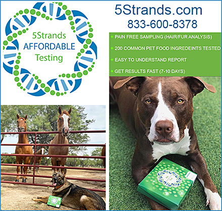 5 Strands Affordable Testing for Dogs