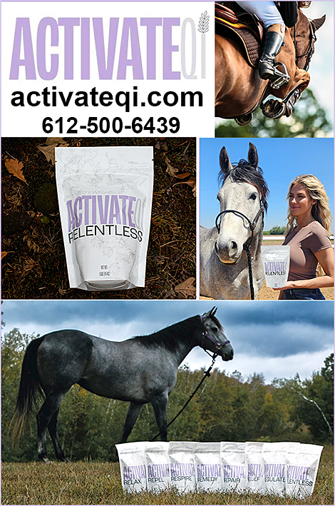 Horse Ulcer Prevention by Activate QI