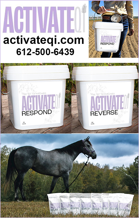 Horse Neurological Support from ActivateQI