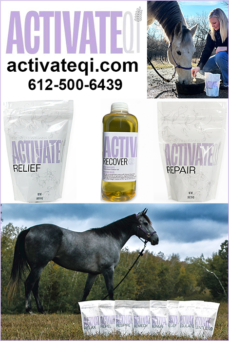 Horse Tendon Treatment by ActivateQI