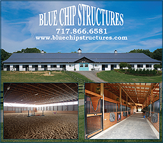 Blue Chip Structures Pre-Engineered Horse Barns