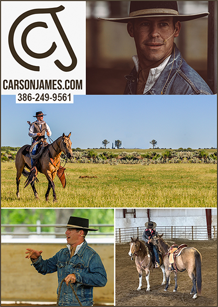 Carson James Horse Trainer and Horse Training Clinician