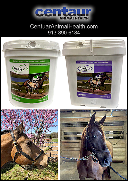 Centaur Anumal Helath Health Supplements for Horses