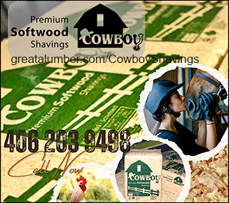 Shavings for Horse Stalls by Cowboy Shavings