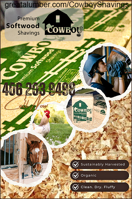 Softwood Shavings Horse Bedding by Cowboy Shavings