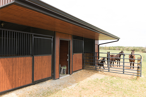 Horse Barn Siding from Designer Metals