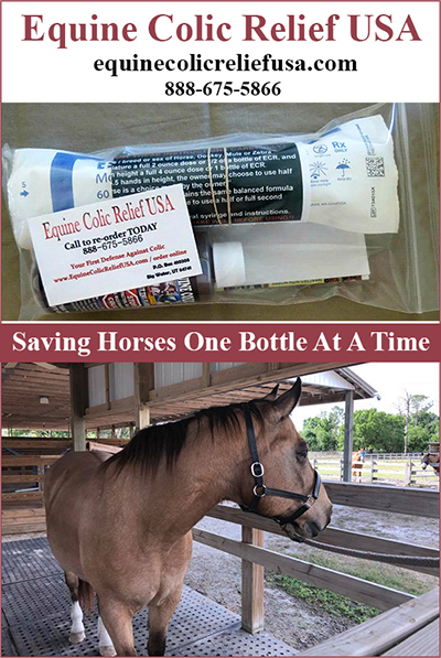 Equine Colic Relief