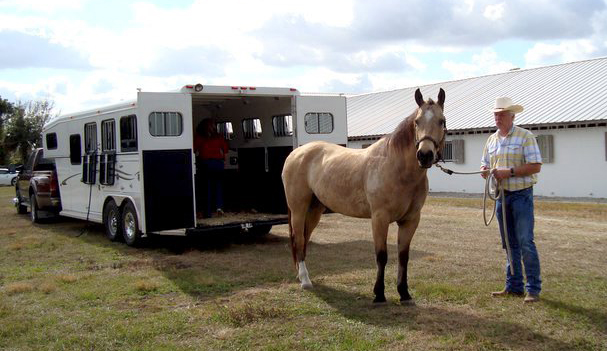 Infohorse.com CEO Robert Sm Pruitt and his horse Dream!