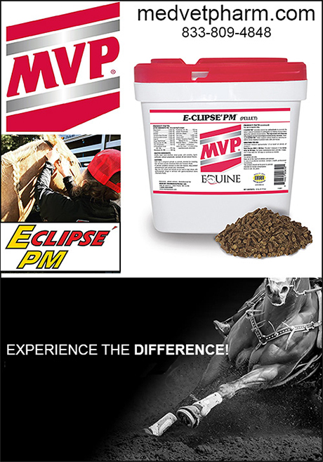 EPM Support Horse Health