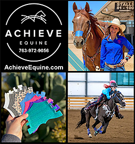 FLAIR Equine Nasal Strips, by Achieve Equine