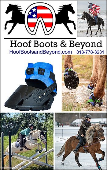 Hoof Boots and Beyond for Horses