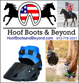 Horse Hoof Boots bt Hoof Boots and Beyond