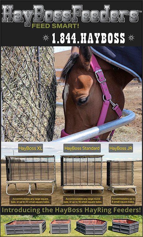 Hay Boss Pasture Horse Feeders