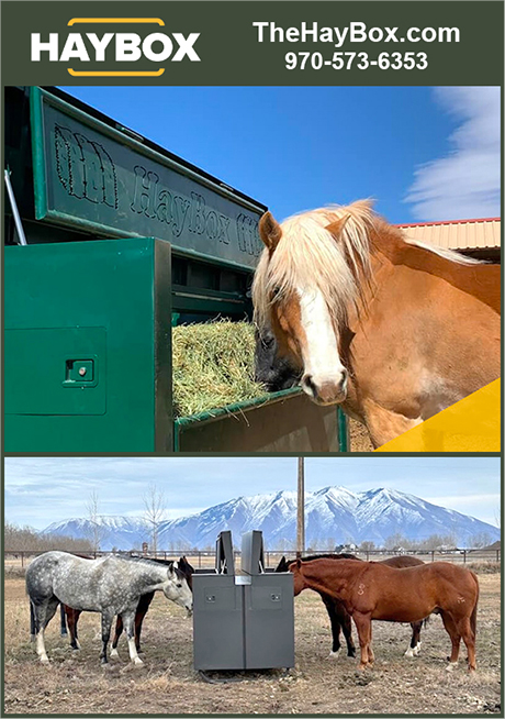 Automatic Horse Hay Feeder by HAYBOX