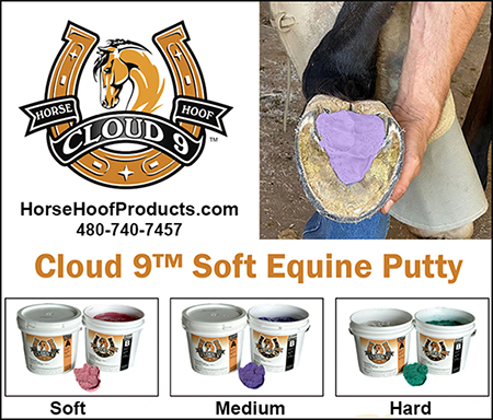 Horse Hoof Putty for Hoof Comfort by Cloud 9