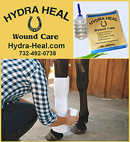 Horse Wound Care by Hydra Heal