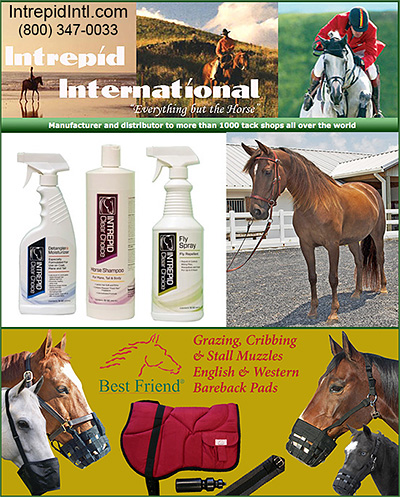 horse catalogs
