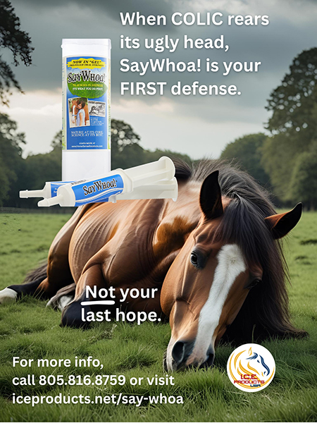 Colic Treatment for Horses Say Whoa!
