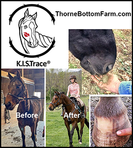 K.I.S. Trace® by Thorne Bottom Farm  Horse Health Supplement