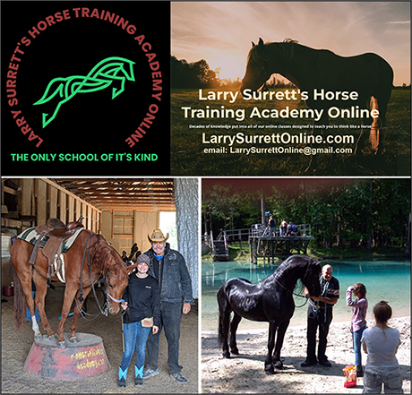 Larry Surrett Horse Training Online