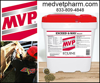 Med-Vet Pharmaceuticals for Horses