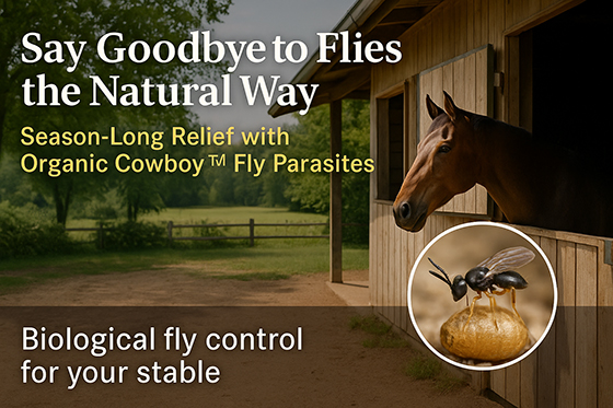 Biological fly control is safe and clean. Safe for the environment and your horse.