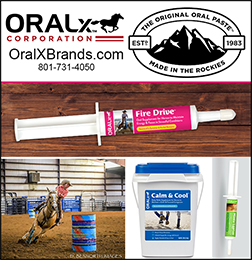 OralX Horse Supplement Paste