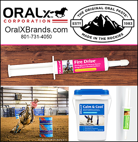 OralX Oral Paste Horse Health Supplements