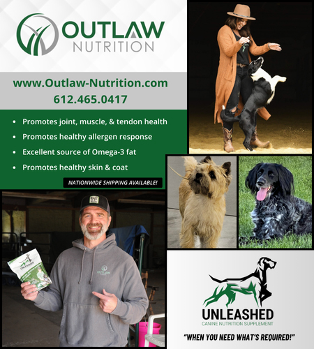 Outlaw Dog Nutrition Supplements