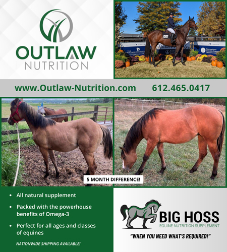 Flax Health Supplements for Horses by Outlaw Nutrition