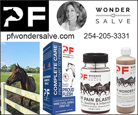 Horse Proud Flesh and Wound  Products by PF Wonder Salve