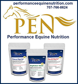 Performance Equine Nutrition