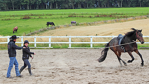 How to prepare your horse for a ride.