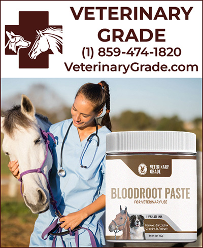 Veterinary Grade Bloodroot Paste