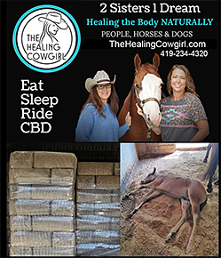 The Healing Cowgirl Hemp Bedding for Horses