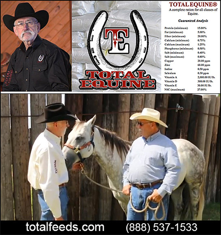 Total Equine Feed for Horses
