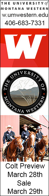 The University of Western Montana