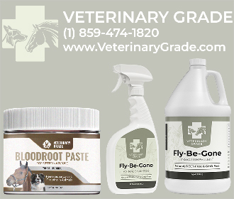 Equine Bloodroot Paste by Veterinary Grade LLC