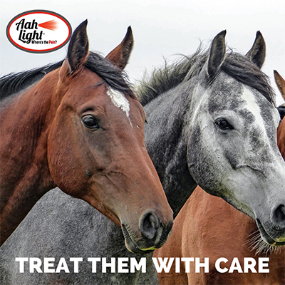 aaahlightarthorses