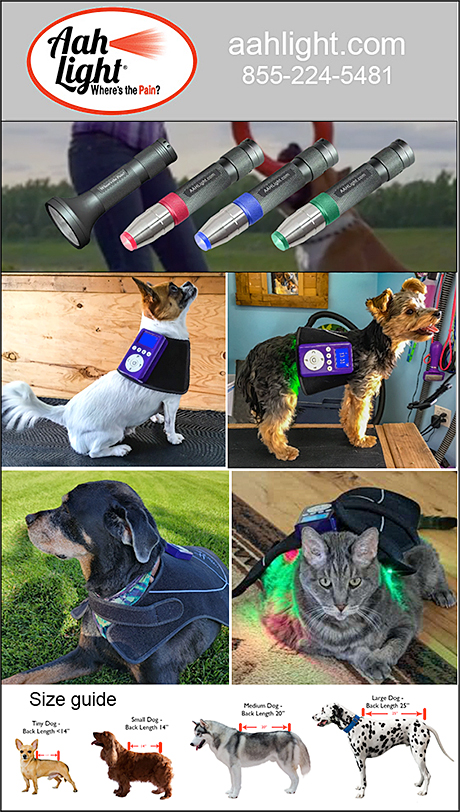 Light Therapy for Pets by Aah Light