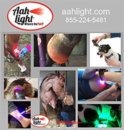 Aah Light Light Therapy for Horses and Dogs