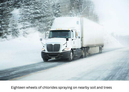 Eighteen wheels of chloride aerosol spray are soaking the soil and trees