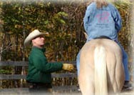 To become a Professional Horse Trainer