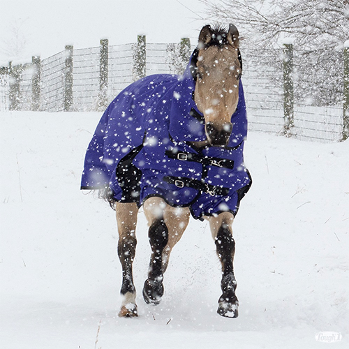Tough1 Horse Blanket