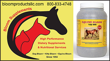 Bloom Horse Supplements
