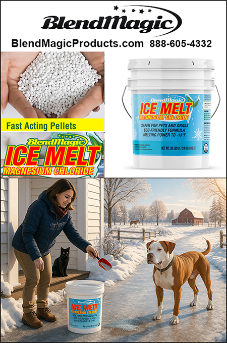 BlendMagic Ice Melter for Dog Owners