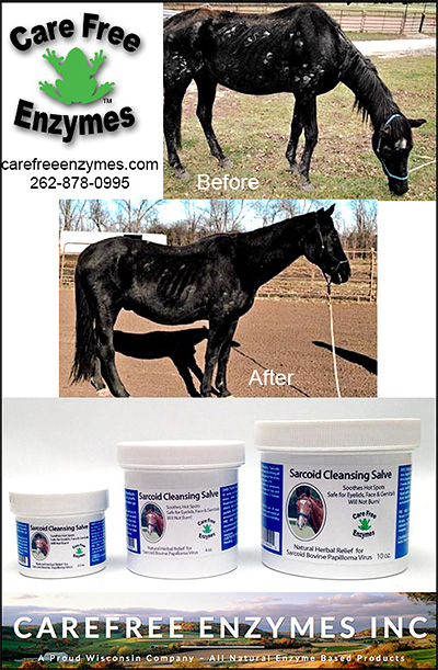 Sarcoid Treatment for Horses